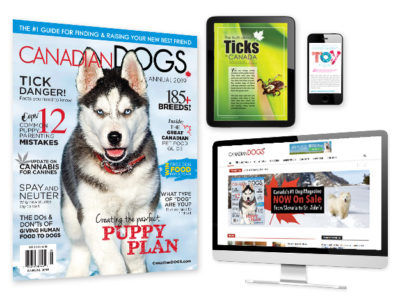 pet marketing agency canadian dogs