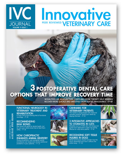 veterinary magazines