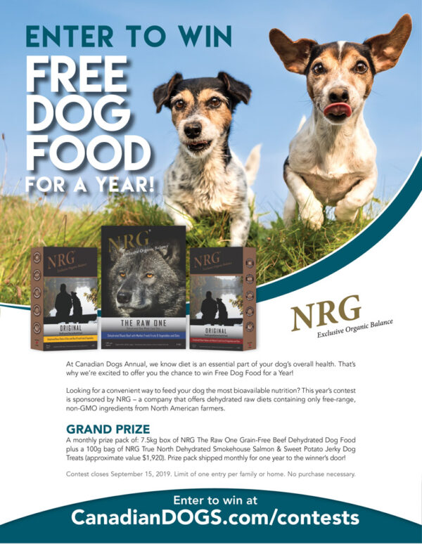 pet marketing agency dog food